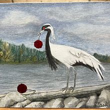 Mixed media crane . Desen în creion, Desen și Desen în creion colorat de dana_ashmore - 02.15.2025