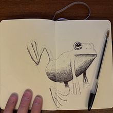 Sketchbook Bic ballonpoint. Drawing, Ink Illustration, Sketchbook, and Sketching project by Milenko Scepanovic - 02.16.2025