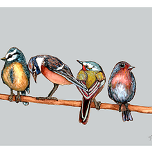 Birds on a branch Ein Projekt aus dem Bereich Traditionelle Illustration, Aquarellmalerei, Realistische Zeichnung und Naturalistische Illustration von Wendy Johnston - 16.02.2025