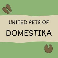 APP ALBERGUE DOMESTIKA. Creative Consulting, Marketing, Advertising, and Creativit project by sgarmed20 - 02.17.2025