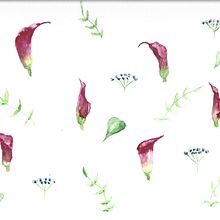 Orchidées en deux temps. Botanical Illustration, Traditional illustration, Fine Arts, Painting, Ink Illustration, Creativit, and Watercolor Painting project by jdionforillon - 02.17.2025