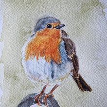 Robin painted in watercolor. Un proyecto de Ilustración tradicional y Pintura a la acuarela de Sissel - 18.02.2025