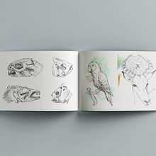 Proyecto final, Sketching diario como inspiración creativa. Sketching, Creativit, Drawing, Traditional illustration, Sketchbook, Naturalistic Illustration, Watercolor Painting & Ink Illustration project by María Fernanda Ceballos Sánchez - 02.20.2025