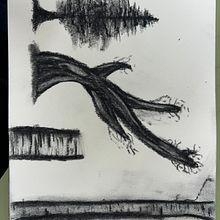 Arbres a carbonet. Drawing project by Elia Gimenez Casas - 02.20.2025