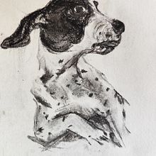 Paula - Kohlezeichnung . Desenho, Ilustração com tinta, Ilustração naturalista, e Artes plásticas projeto de Nicole Sillner - 20.02.2025