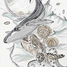 Kugelschreiberzeichnung SEA. Projekt z dziedziny  R, sunek, R, sunek realist, czn, Trad, c, jna ilustracja, Ilustracja naturalist i czna użytkownika Nicole Sillner - 20.02.2025