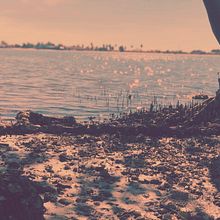 a dream. Photograph project by Nicole Zuñiga - 02.20.2025