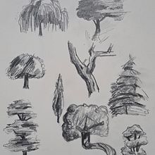 Pràctica Arbres. Un progetto di Illustrazione tradizionale di mani_23 - 20.02.2025