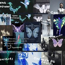 Moodboard de una colección de ropa. Fashion Design, and Digital Design project by aracely_z_ugc - 02.21.2025