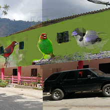 Bocetaje Mural Pajaros. Un proyecto de Pintura de Issa Roncallo - 21.02.2025