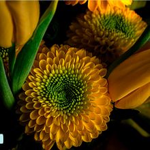 la fuerza del color. Un projet de Photographie, Photographie de studio, Photographie de produits , et Photographie numérique de cantumar20 - 22.02.2025