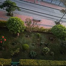 El jardín . Creativit, Writing, Narrative, Stor, telling, and Creative Writing project by Lina Bernal - 02.23.2025