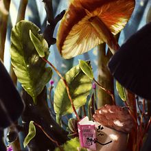 Roots. Digital Illustration project by Andrea Giro - 02.24.2025
