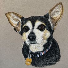 Final drawing-“Frankie”. Drawing project by Deborah St. John - 02.28.2025