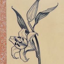 My first lily. Tattoo Design project by semprinichristine - 02.28.2025