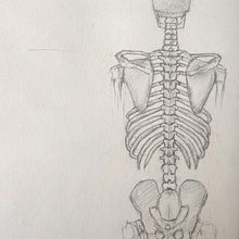 Vértebras . Fine Arts, Drawing, Pencil Drawing, Realistic Drawing, Figure Drawing, and Sketching project by Juan Freddy Abarca Cordero - 03.02.2025