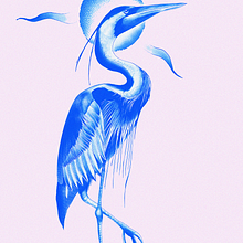 Great blue heron. Digital Illustration project by Joaquín Góngora Pedrero - 03.02.2025