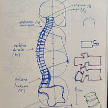 Objetos y huesos. Artistic Drawing, Drawing, Figure Drawing, Fine Arts, Ink Illustration, Pencil Drawing, Portrait Drawing, Realistic Drawing, Sketchbook, and Sketching project by Juan Freddy Abarca Cordero - 03.02.2025