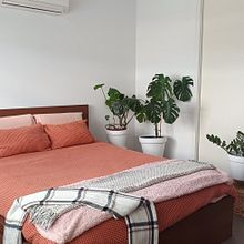 Green&Pink Room. Decoration, DIY, Floral, Plant Design, Interactive Design, Interior Decoration, and Spatial Design project by jessicaruizortiz - 03.03.2025