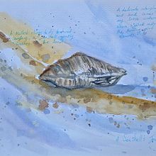 Capturing nature with watercolours. Drawing, Naturalistic Illustration, Pencil Drawing, Sketchbook, and Watercolor Painting project by Belle - 03.03.2025