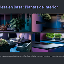 Plantas Naturales: Un Viaje Visual. Artificial Intelligence, and AI Design project by jaguirrevillarriaga - 03.04.2025