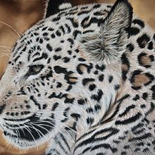Jaguar . Traditional illustration project by j_koroneko - 03.06.2025