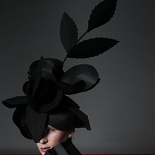 Contrast, shape, paper.. Een project van Bloem- en plantenschikken van Venera Kazarova - 06.03.2025
