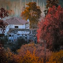 Mi Viaje Fotográfico. Fotografia, e Fotografia digital projeto de Daniel Sandoval Esparza - 06.03.2025