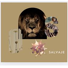 salvaje. Br, ing, Identit, Graphic Design, Social Media Design, and Web Design project by Andrea Díaz Valencia - 03.06.2025