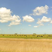 Paisajes campestres. Photograph, Digital Photograph, Documentar, and Photograph project by Tomás Cufré - 03.07.2025