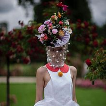 Porcelain. Floral, and Plant Design project by Venera Kazarova - 03.07.2025