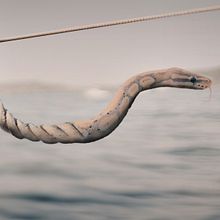 Cuerda peligrosa Ein Projekt aus dem Bereich Fotomontage, Fotografische Komposition, Fotoretuschierung und Matte Painting von Sandra - 08.03.2025