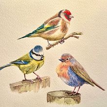 Illustrating Birds. Un proyecto de Ilustración tradicional, Pintura a la acuarela, Dibujo realista e Ilustración naturalista				 de taniyadennison - 09.03.2025