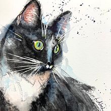 Watercolor Painting of Nadja the Cat. Realistic Drawing, Traditional illustration, Naturalistic Illustration, and Watercolor Painting project by Linda Koch - 03.12.2025