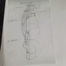 Dibujo anatómico para principiantes. Un progetto di Belle arti, Disegno, Disegno a matita, Disegno realistico, Disegno anatomico e Bozzetti di Adrián Miranda Guadalupe - 14.03.2025
