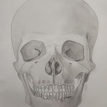 Caveira. Un projet de Dessin, Dessin anatomique, Dessin au cra, on, Dessin réaliste , et Beaux Arts de Leonardo Santiago Meyer - 16.03.2025