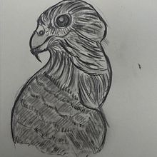 My day with the birds . Un progetto di Disegno, Disegno anatomico, Disegno a matita, Disegno di ritratti, Sketchbook e Bozzetti di cimran_dhiman96 - 16.03.2025