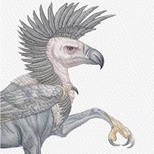 Creating/Original Illustrations-“Scientific Illustration of Animals in Watercolor”-Digital Redux. Un projet de Illustration numérique, Illustration traditionnelle , et Aquarelle de supaocto - 17.03.2025