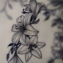 Proyecto final ¨LILIUM¨. Un progetto di Design di tatuaggi e Illustrazione tradizionale di trinidadr2017 - 18.03.2025