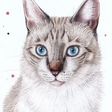 Gatos. Traditional illustration, and Watercolor Painting project by Mayarí Mazariegos De León - 03.18.2025