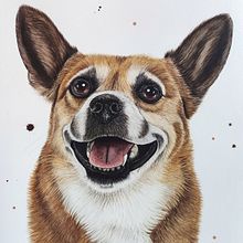 Perros. Traditional illustration, and Watercolor Painting project by Mayarí Mazariegos De León - 03.18.2025
