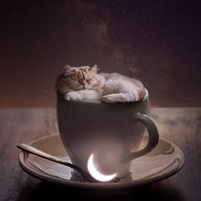 Goodnight. Un proyecto de Bellas Artes, Creatividad y Fotomontaje de Natacha Einat - 19.03.2025