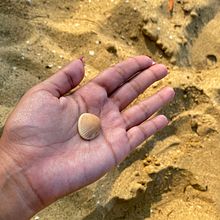Improvisado y naturaleza = Arte . Un progetto di Marketing, Pubblicità, Fotografia con smartphone, Fotografia di prodotti, Fotografia, Social media, Instagram, Fotografia per Instagram, Fotografia lifest, le e Mobile marketing di zambranoanto13 - 21.03.2025