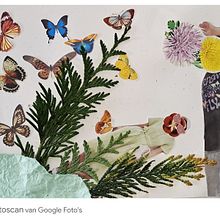 VLINDER-DEN. Een project van Craft, Collage, Traditionele illustratie y Patroonontwerp van kristintielemans - 23.03.2025