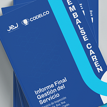 Diseño y Diagramación Informe Final Gestión del Servicio 2024. Un progetto di Design editoriale di Juan Jose - 24.03.2025