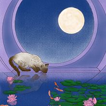 Gatito. Digital Drawing, Traditional illustration, and Digital Illustration project by candidabacci - 03.24.2025