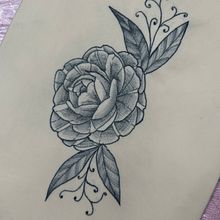 Pfingstrose mit Schattierungen . Un progetto di Design di tatuaggi di Leonie Eufinger - 28.03.2025