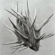 Creep.Pod. Realistic Drawing, Drawing, and Pencil Drawing project by skylarborgstrom - 03.28.2025