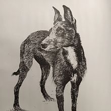 Lithographic Transfer Drawing. Artes plásticas, Desenho a lápis, Estampagem, Desenho, Desenho artístico, Desenho realista e Ilustração naturalista projeto de Lisa Dunne - 28.03.2025