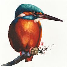 My feathered journey through watercolor. Traditional illustration, Watercolor Painting, Realistic Drawing, and Naturalistic Illustration project by Christian - 03.30.2025